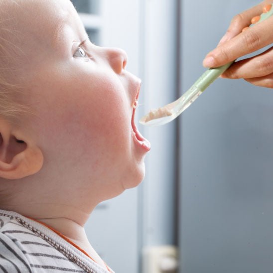 Cuilleres-a-fruits-pour-bebe-5